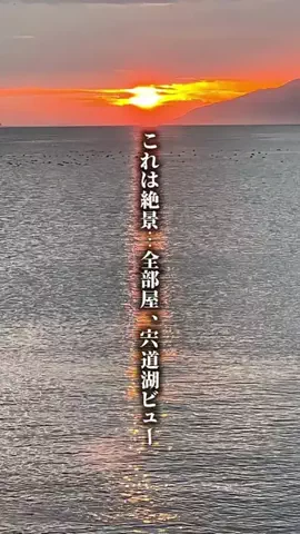 ココロ旅人のTikTok投稿