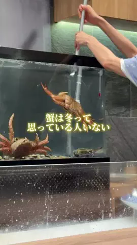 愛知と旅のグルメログのTikTok投稿