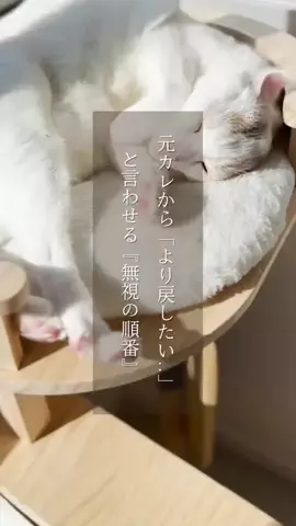 yu_koikoiのTikTok投稿
