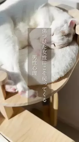 yu_koikoiのTikTok投稿