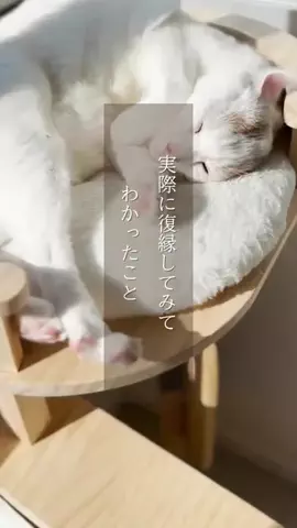 yu_koikoiのTikTok投稿