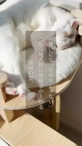 yu_koikoiのTikTok投稿