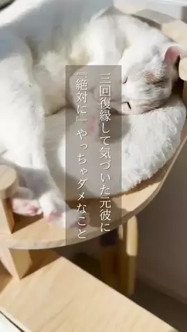 yu_koikoiのTikTok投稿