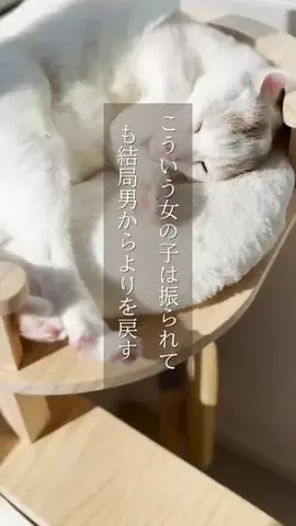 yu_koikoiのTikTok投稿