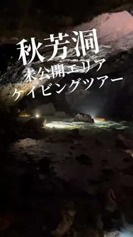 ひろしのTikTok投稿