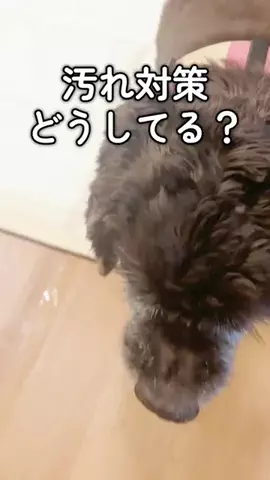 6にゃんずママのTikTok投稿