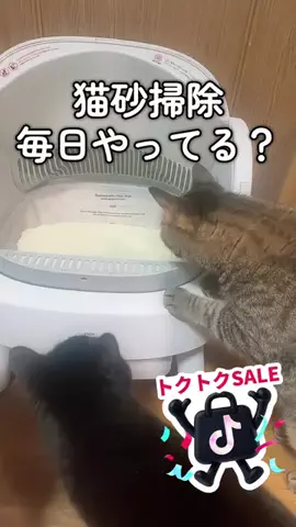 6にゃんずママのTikTok投稿