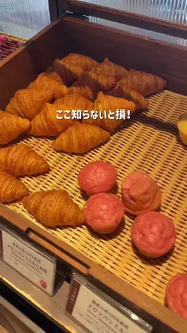 ひかり✈️旅好き会社員のTikTok投稿