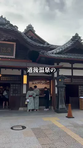 愛媛グルメ／EHIME SELECTのTikTok投稿