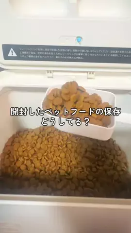 6にゃんずママのTikTok投稿