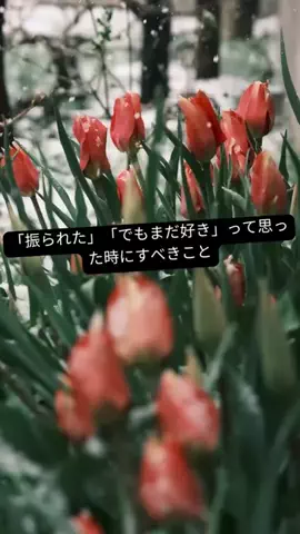 yu_koikoiのTikTok投稿