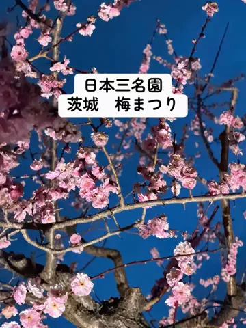 ひかり✈️旅好き会社員のTikTok投稿