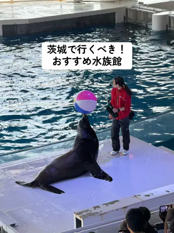 ひかり✈️旅好き会社員のTikTok投稿