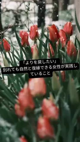 yu_koikoiのTikTok投稿