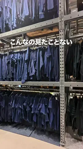Life Hapisan ハピのTikTok投稿