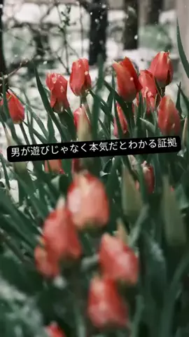 yu_koikoiのTikTok投稿