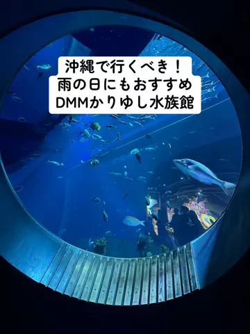 ひかり✈️旅好き会社員のTikTok投稿