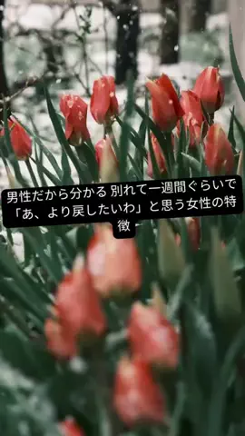 yu_koikoiのTikTok投稿