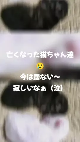 りえのTikTok投稿