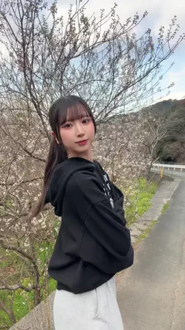 ちゃをのTikTok投稿