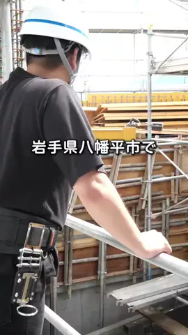 岩手の梅くん🐡のTikTok投稿