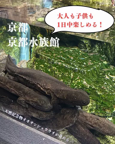 おんせんまみ｜温泉と美味しいもの好きのTikTok投稿