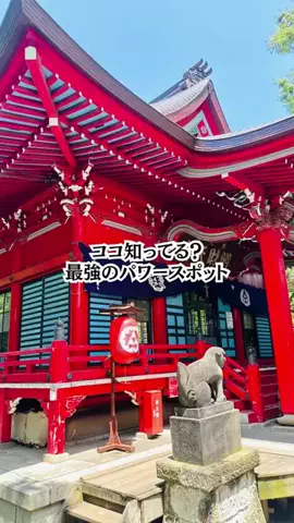 shin_single_tripのTikTok投稿