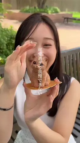 ひつじ⌇かぶりつきごはんのTikTok投稿