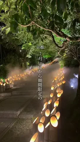 あい | 京都グルメのTikTok投稿