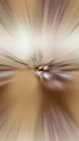 こむちゃんのTikTok投稿