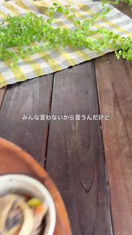 サチのお家ごはんのTikTok投稿