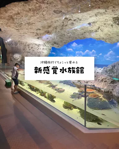 まぁ_コスパホテルのTikTok投稿