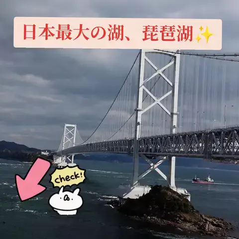 ハッピージュエリーのTikTok投稿