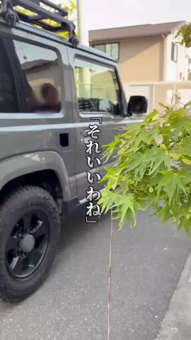 sacco_kurashi_のTikTok投稿
