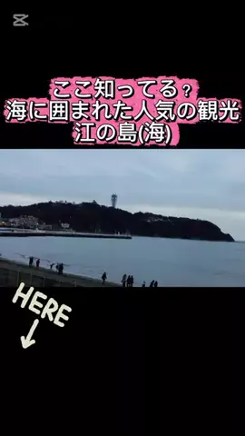 ハッピージュエリーのTikTok投稿