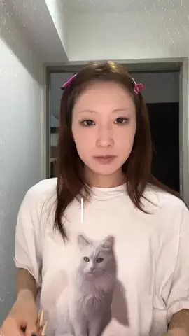 お華のTikTok投稿