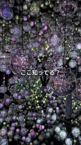 ぶんまる【お得品紹介】のTikTok投稿