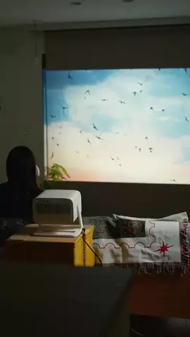 ポールの浪漫のTikTok投稿
