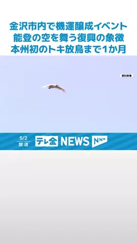 テレビ金沢NEWSのTikTok PR投稿：#月末に#能登で行われる#トキの#放鳥について#石川県民に…