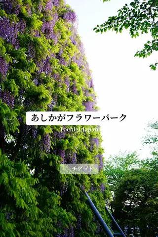 旅するtakkiのTikTok投稿