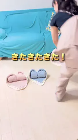 かかみのTikTok投稿