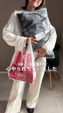 ハニルのTikTok投稿