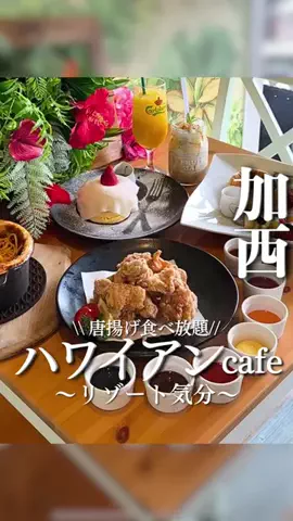 うみがわ | おしゃれ播磨🏯カフェ/グルメ/お出かけのTikTok投稿