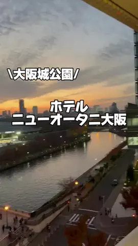今日はもう帰らない女のTikTok投稿