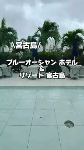 今日はもう帰らない女のTikTok投稿
