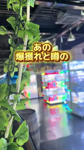 あん|神奈川平塚発🚗おでかけナビのTikTok投稿