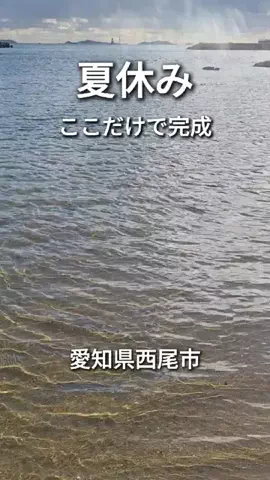 ふーまま@ウエル活&お得大好きのTikTok投稿