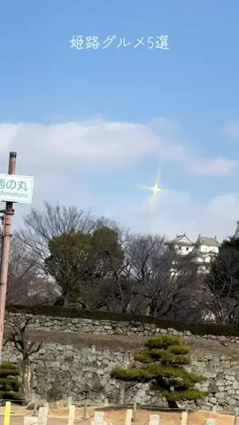 姫路グルメ・ランチ・ディナー　K太郎【姫路・兵庫・関西】のTikTok投稿