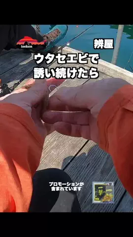 伊勢志摩つりとも研究所のTikTok投稿