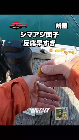 伊勢志摩つりとも研究所のTikTok投稿